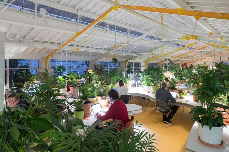 Biophilic Office Design