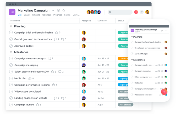 Asana Project Management Tool