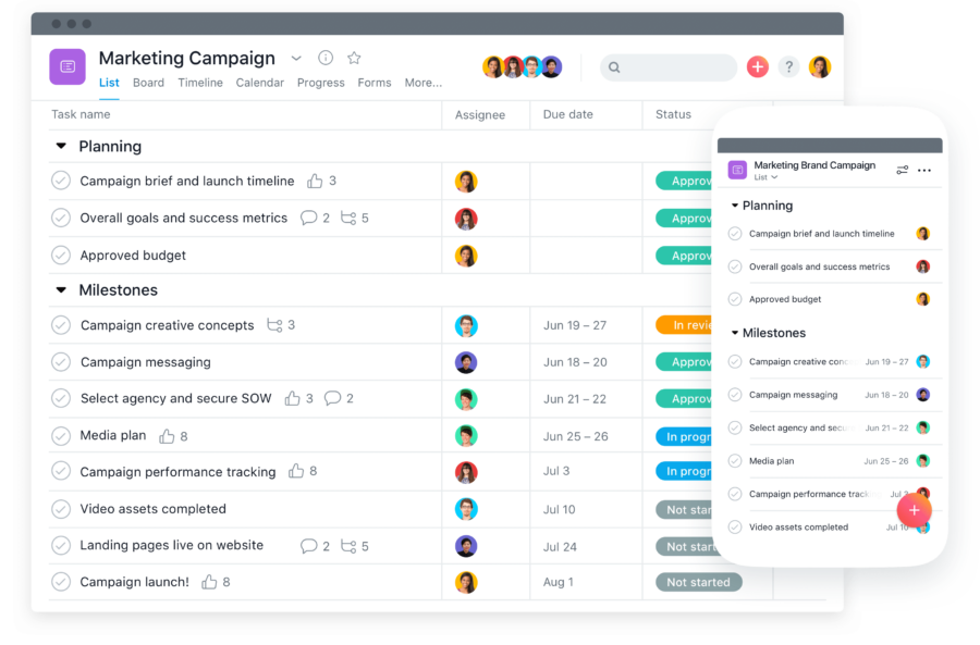 Asana Project Management For Creative teams