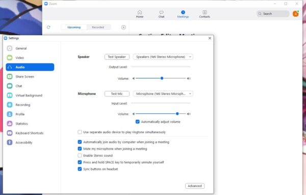 how to mute yourself on zoom