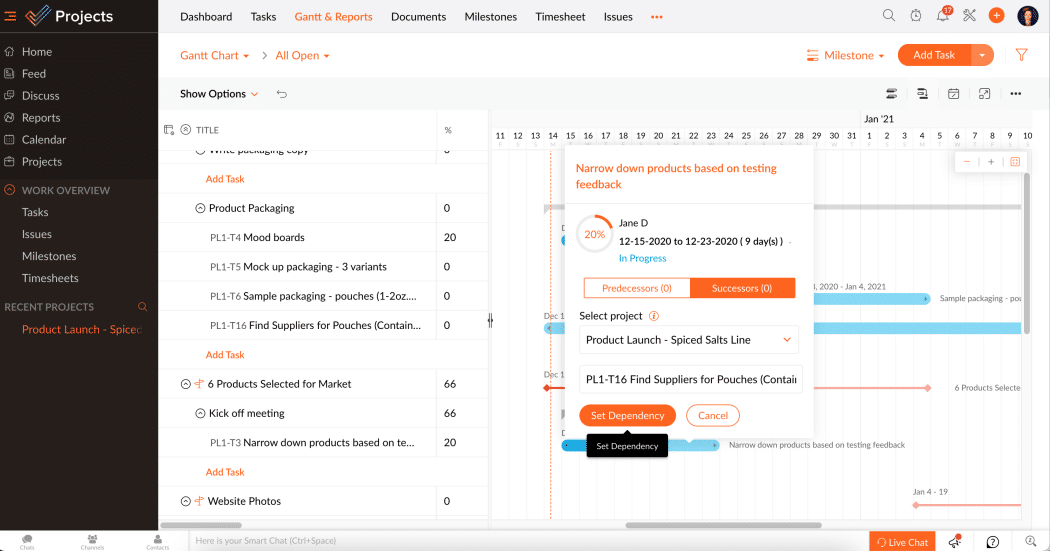 Zoho project management software